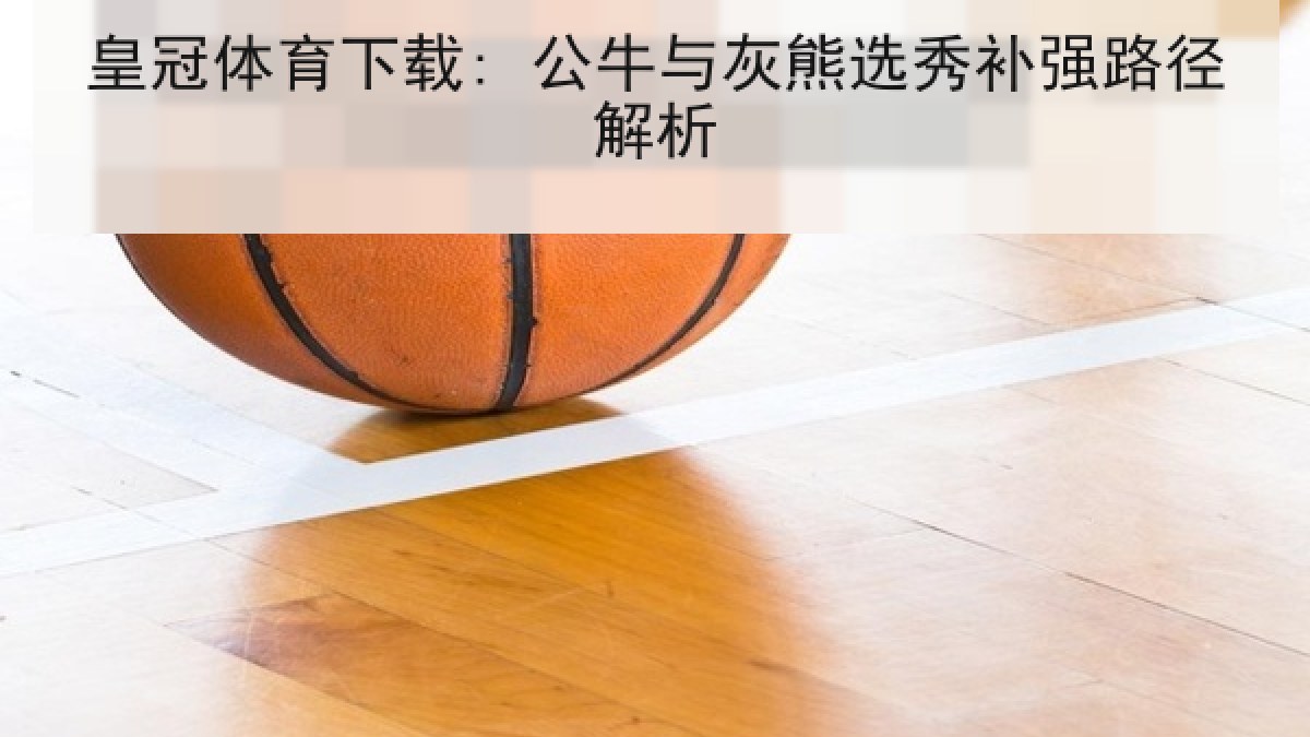 皇冠体育下载: 公牛与灰熊选秀补强路径解析