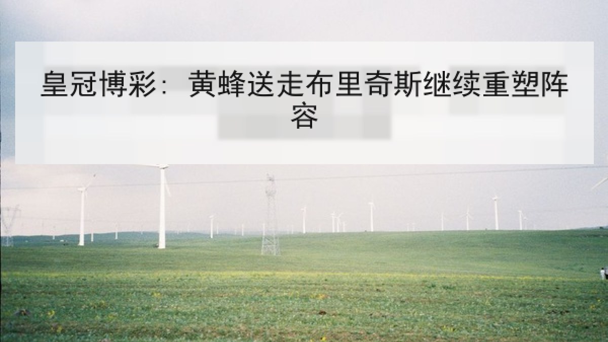 皇冠博彩: 黄蜂送走布里奇斯继续重塑阵容