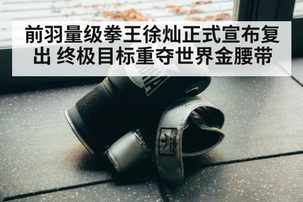 前羽量级拳王徐灿正式宣布复出 终极目标重夺世界金腰带