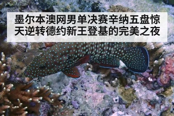 墨尔本澳网男单决赛辛纳五盘惊天逆转德约新王登基的完美之夜